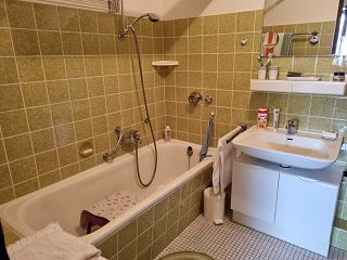 Penthouse Wohnung Bad Harzburg