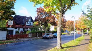 Ferienwohnung in Bad Harzburg